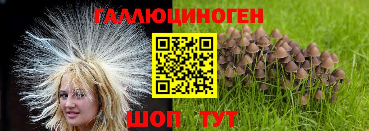 Гудермес  Псилоцибиновые грибы мухоморы  Вход с VPN 