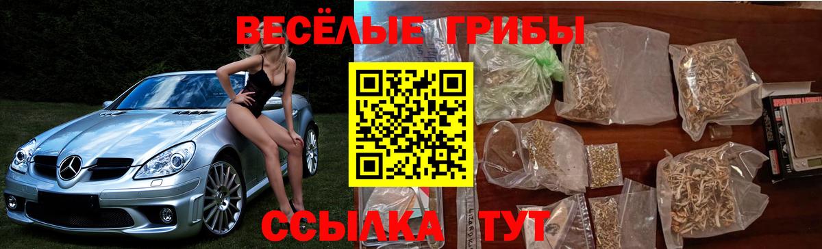 Галлюциногенные грибы MAGIC MUSHROOMS Гудермес